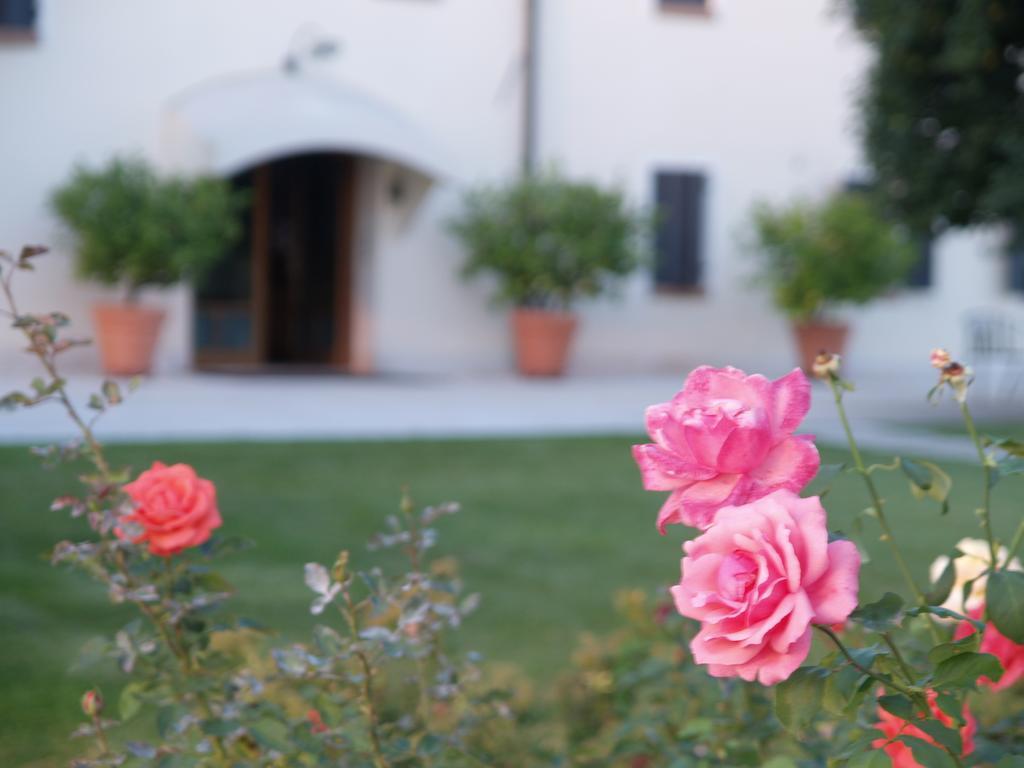 Bed and Breakfast Col Delle Rane Caerano Di San Marco Exterior foto